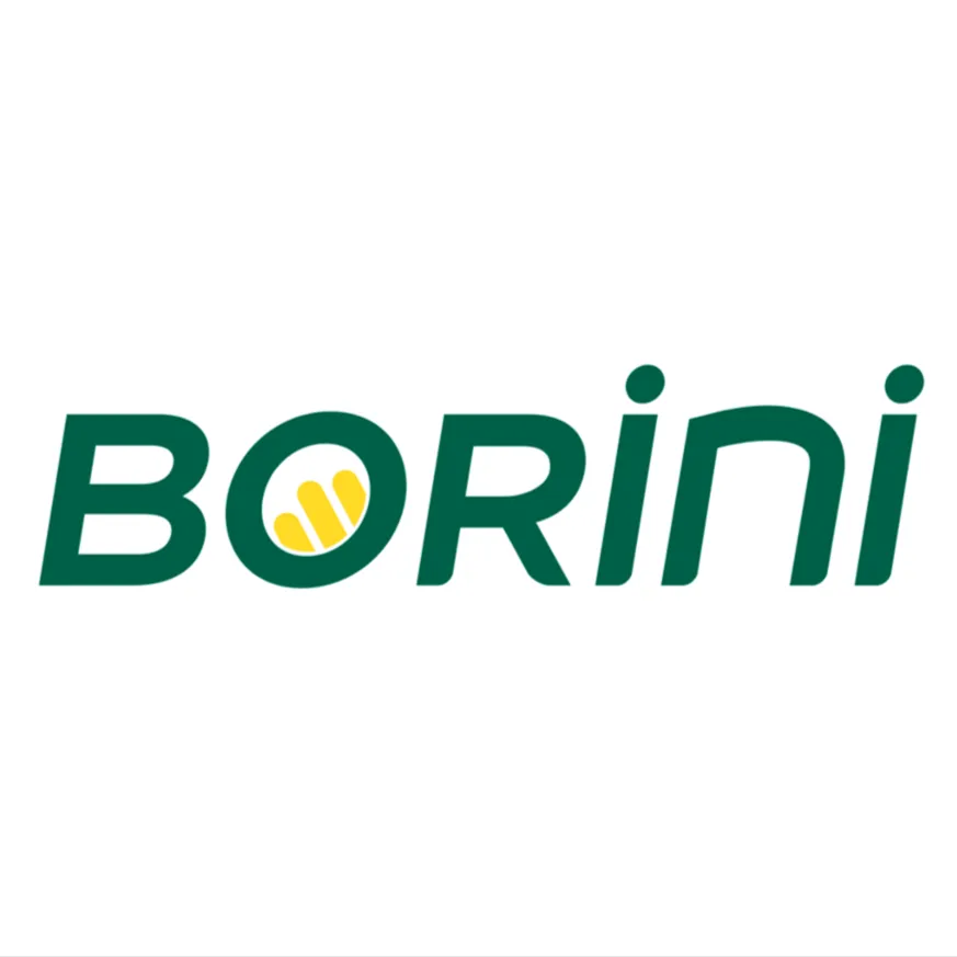 Logo Autocar Borini